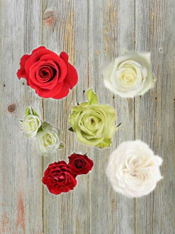 ROSES ALL AROUND CHRISTMAS PALETTE COMBO BOX